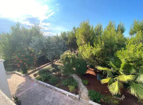 Villa Adelaide Ceglie Messapica Esterno foto