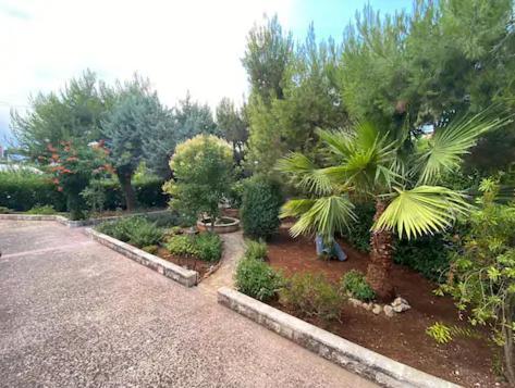 Villa Adelaide Ceglie Messapica Esterno foto